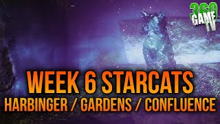 Starcats Location Guide  Harbingers  Gardens  Confluence  WEEK 6 Starcats  Destiny 2 [upl. by Myrilla]