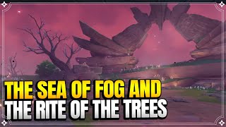 The Sea of Fog and the Rite of the Trees  Through the Mists 3  World Quests 【Genshin Impact】 [upl. by Imuya]