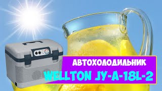 АВТОХОЛОДИЛЬНИК  ОБЗОР ВМЕСТИМОСТЬ РАЗМЕРЫ  WELLTON JYA18L2 [upl. by Uwton]