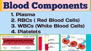 Blood Components What is blood  Plasma RBCs  WBCs  platelets biology [upl. by Edualcnaej]