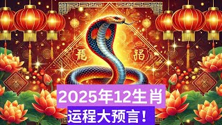 2025年12生肖运程大预言！ [upl. by Sewellyn]