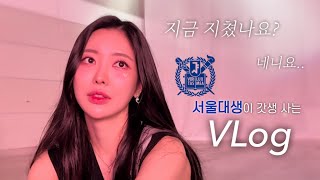 VLog 서울대 경영학과가 갓생 사는 법 [upl. by Lehcar435]