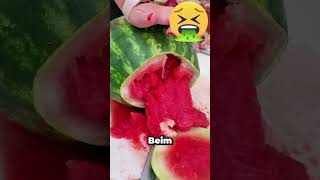 Warum explodiert die Wassermelone😱 [upl. by Adaj]