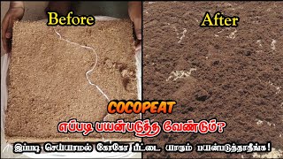 💥 Cocopeatஐ என்ன பண்ணுனேன் 🤔 How to use Cocopeat⁉️  Government Terrace Garden kit [upl. by Ellingston479]