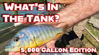 Whats in the 5000 Gallon Tanks [upl. by Illek375]