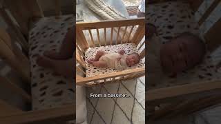 A bassinet crib and junior bed allinone 🤩 feat our Yuzu 8in1 Crib [upl. by Lilian3]