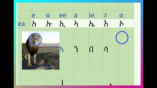 Tigrinya Academy  Video 5  Alphabet  ፊደል quotአquot [upl. by Ondine]