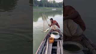 Unique fishing technique  Big Catch fish in river fishing shorts RegularFishing [upl. by Llennhoj]