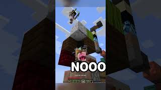 la loquita del centro 😠 shorts minecraft [upl. by Enasus439]