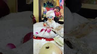 Sharad purnima  radha krishan ji short video laddu gopaal [upl. by Aeht]