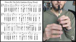 Tuto Tin Whistle  Down By The Sally Gardens Song Dmaj [upl. by Goldwin]