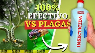 🦗3 INSECTICIDAS CASEROS Potentes para ELIMINAR PLAGAS de tus Plantas Rápidamente 🌿 [upl. by Arri866]