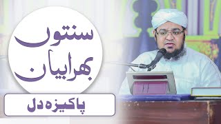 Pakeeza Dil ┇ Sunnaton Bhara Bayan Episode 539 ┇ Mufti Muhammad Qasim Attari [upl. by Dnalrag]