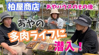 柏屋商店あやのハウスのその後！どんな多肉ライフを送っているのか！？【多肉植物】【ガーデニング】 [upl. by Karlens]