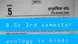 BSc 3rd semester The Genetic code Process of translation chapter 2 zoology in hindi [upl. by Kurland]