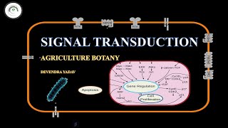 SIGNAL TRANSDUCTION  How Cells Communicate  DEVENDRA YADAV [upl. by Ehtyde]