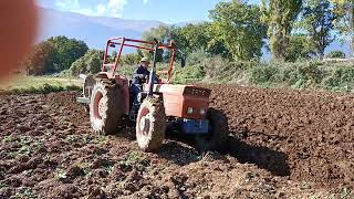 Same Corsaro 70 con aratro idraulico Nardi in aratura by nonno Bruno rural agriculture [upl. by Adeuga541]