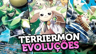 Toda Linha Evolutiva de Terriermon [upl. by Sachiko]