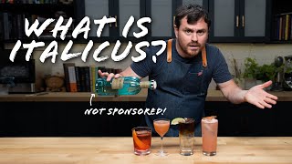 Bergamot Liqueur How to surprise your tastebuds How to use Italicus at home [upl. by Hynda]