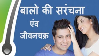 बालो की सरंचना एंव जीवनचक्र Hair Anatomy amp Life Cycle Hindi [upl. by Antonina34]