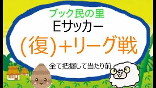 Eサッカー 大事なことなので２回目＋リーグ戦について利益を出す人の当たり前基準 ブックメーカー [upl. by Wolsky307]