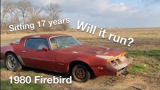 Will it START 1980 Pontiac Firebird REVIVAL Will it run after sitting for 17 years [upl. by Rehotsirhc609]