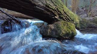 Lykens Loop Trail [upl. by Maddie]