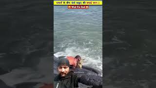 Rescue Thar Kachhua factsinhindi shortvideos knowledge [upl. by Khalin983]