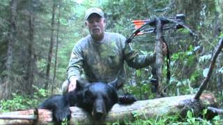 Black Bear Hunting With A Crossbow [upl. by Jara774]