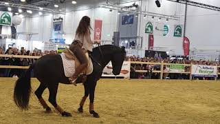 Kenzie Dysli  Equitana 2019 [upl. by Laurene]