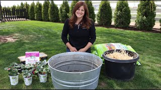 Planting Strawberries in Containers for Beginners 🍓🤤 Garden Answer [upl. by Arakaj101]