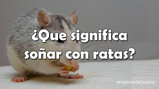 ¿Qué significa SOÑAR con RATAS 🐀​ Interpretación de los SUEÑOS ✨ [upl. by Nahoj]