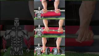 quotTop Forearm Workouts for Stronger Arms 💪  Quick amp Effective Exercisesquot [upl. by Enovi679]