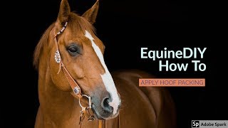 How To Apply Hoof Packing  EquineDIY [upl. by Aehr2]