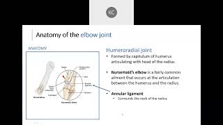 Articulations  Humeroulnar amp Humeroradial Joints  Part 7 [upl. by Silra]