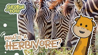 Herbivore Facts for Kids  Animal Facts for Kids  George and Toby Wildlife Rangers [upl. by Ahsiuq]