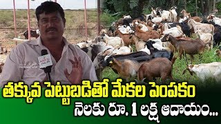 How To Start Goat Farming  Karnata Chakrapani  Business Tips On Goat Farming  SumanTV Rythu [upl. by Negriv]