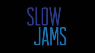 RampB SLOW JAMS VOL4 SLOWED amp CHOPPED [upl. by Nalym]