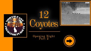 Thermal Coyote Hunting  2024 Season  Opening Night Part 2  North East Predator Pursuit [upl. by Ardie]