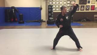 Tracy Kenpo Kata Long 2  Reids Martial Arts [upl. by Ishii]