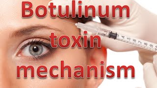 Botulinum toxin mechanism [upl. by Nylahs]