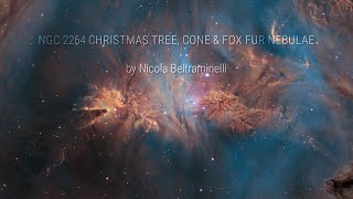 NGC 2264 Christmas tree Cone and Fox Fur nebulae by Nicola Beltraminelli [upl. by Eeslehc]