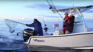 MAKO Boats 214 CC Offshore Fishing Boat [upl. by Ahto]