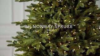 Balsam Hill®  BH Norway Spruce™ [upl. by Eniamreg]