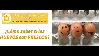 Como saber si los HUEVOS son FRESCOS [upl. by Elpmet62]