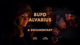 Bufo Alvarius  A Short Documentary Film [upl. by Nilrac]