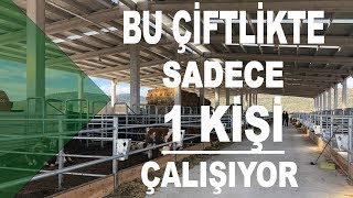 Bu Çiftlikte Sadece 1 Kişi Çalışıyor [upl. by Irok787]