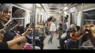 Zapateando el Querreque en el Metro de la Ciudad de México CDMX con el Trío 3 en Línea [upl. by Ettegroeg]