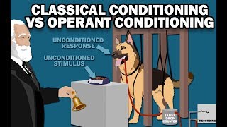 CLASSICAL VS OPERANT CONDITIONING [upl. by Negam]