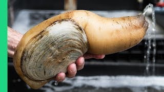 Exotic CHINESE FOOD Feast in Guangzhou 250 Snake Geoduck Sashimi and Sea Cucumber [upl. by Yesoj]